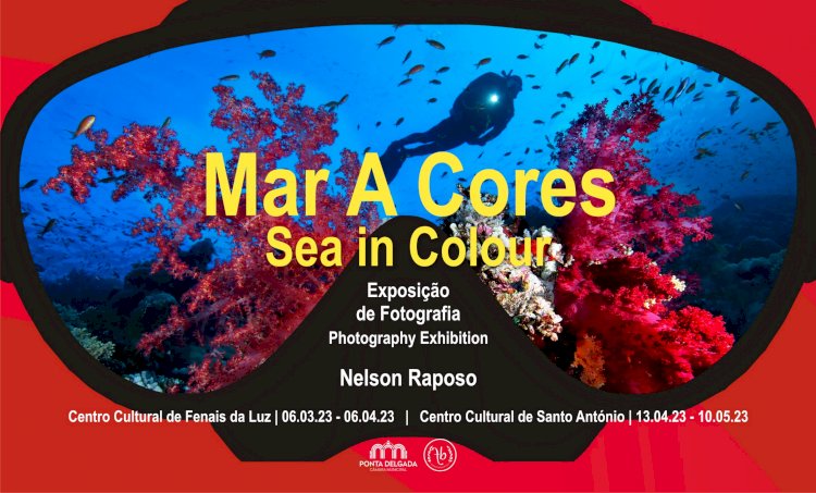 Centros culturais de Fenais da Luz e de Santo António mergulham num “Mar a cores”