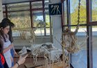 Mais de 50 esqueletos para visitar  no Museu de Anatomia Animal da UTAD
