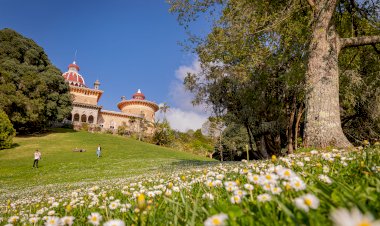 Palácio de Monserrate celebra a Primavera com música