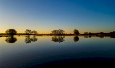 Estarreja Birdwatching Fair está de volta de 13 a 16 de abril