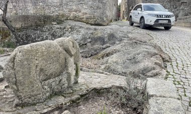 Viagem do Elefante quase a começar e… quase esgotada!