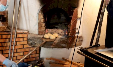 Mealhada comemora Dia Nacional dos Moinhos com caminhadas, mercadinhos, exposições