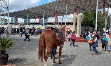 De 27 de Abril a 1 de Maio a 39ª Ovibeja deverá ser uma das maiores de sempre