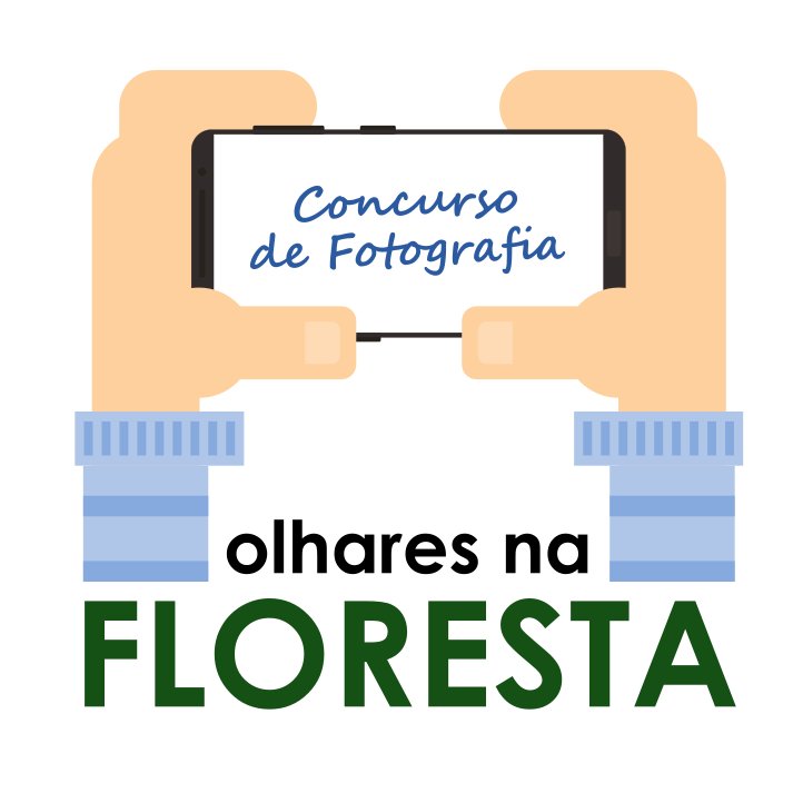 CCVFloresta promove concurso de fotografia de dispositivo móvel