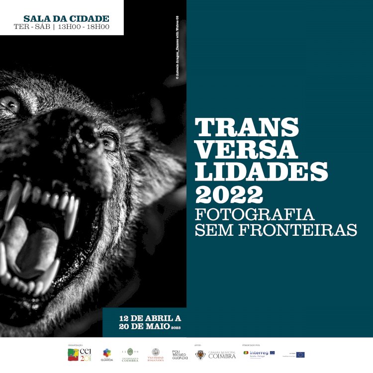 “Transversalidades - Fotografia sem Fronteiras” inaugura na próxima quarta-feira