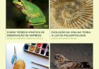 Município de Lagoa celebra de 20 a 27 de Maio a Semana da Biodiversidade