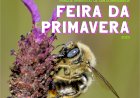 Feira de Primavera no Município de Constância