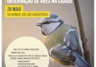 Passeio Interpretativo no Património Natural | Observação de Aves na cidade