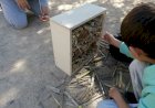 Loulé fomenta biodiversidade em meio urbano com instalações de abrigos aves, insectos e morcegos