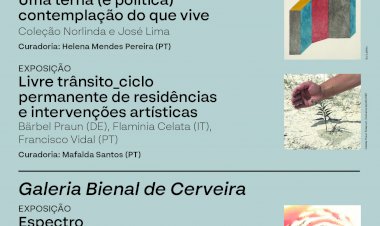 Museu Bienal de Cerveira reabre com nomes como Andy Warhol, Nikias Skapinakis, Joana Vasconcelos, Vhils e Bordalo II