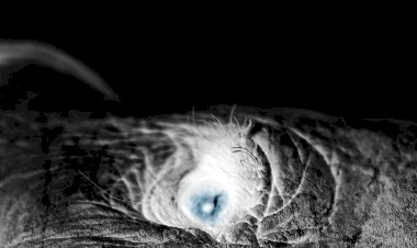 Lisa Gerrard e Jules Maxwell apresentam One Night in Porto