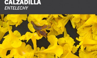 Abertura da exposição Entelechy de Allora & Calzadilla no Museu de Serralves