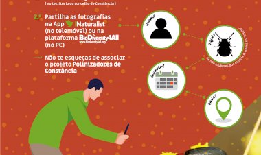 Actividade «Vamos fotografar os insetos polinizadores de Constância»