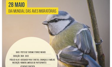 Passeio Interpretativo no Património Natural | Observação de Aves na cidade