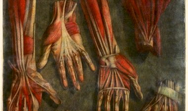 David Revés leva à Fidelidade Arte um território entre o transcendente e o telúrico