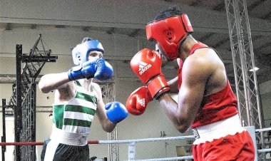 Portimão Box Cup vai ser disputada por mais de 350 pugilistas de dez países