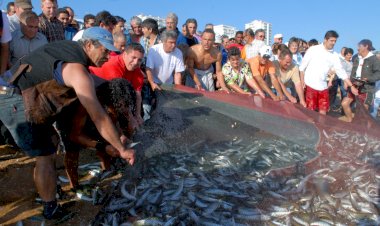 Petiscos e Música celebram pescadores de Quarteira