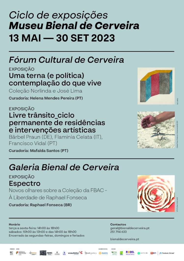 Museu Bienal de Cerveira reabre com nomes como Andy Warhol, Nikias Skapinakis, Joana Vasconcelos, Vhils e Bordalo II