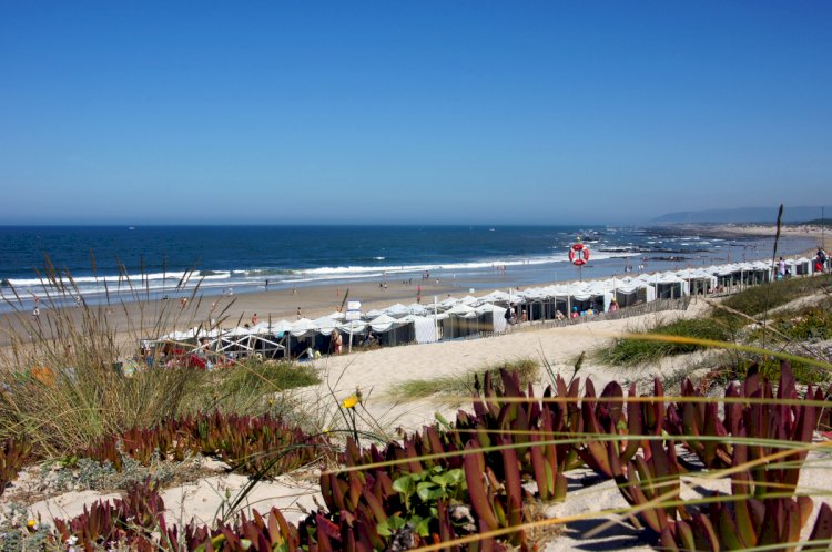 Esposende com seis praias com “Qualidade de Ouro” na época balnear 2023