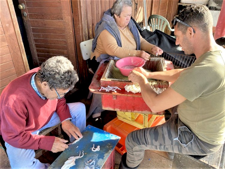 Portimão assinala Dia Nacional do Pescador, evocando a importância da comunidade piscatória de Alvor