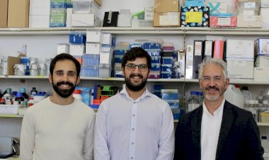 Investigadores da Universidade de Coimbra desenvolvem terapia promissora para o tratamento da Doença de Machado-Joseph
