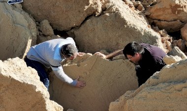 Dois novos fósseis encontrados na costa sudoeste de Portugal