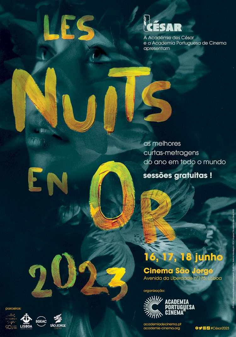 Cinema São Jorge volta a receber "Les Nuits en Or"