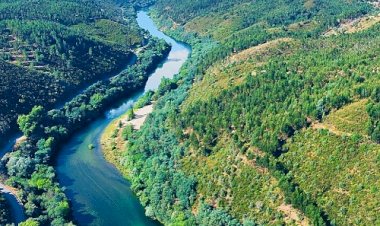 Primeiro Confluência Trail, em Constância as inscrições estão oficialmente abertas