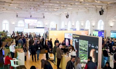 WINE & TRAVEL WEEK distinguida com prémio internacional da prestigiada The Drinks Business