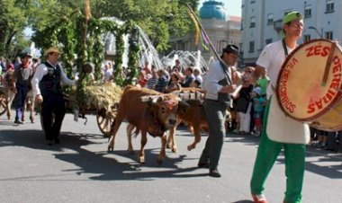 Cortejo aberto, até ver