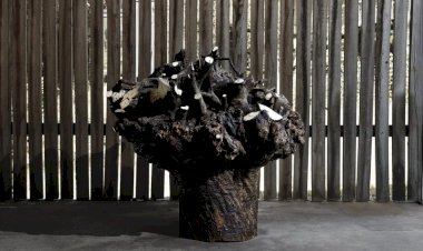 Abertura da exposição "O Tempo das Árvores" de Paulo Neves