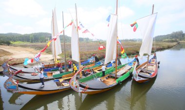 Festival do Moliceiro regressa às Folssas Novas com possibilidade de passeios de barco moliceiro