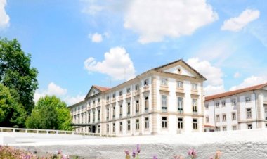 Um mimo para começar o ano