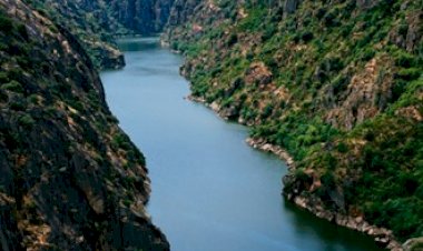 Trás-os-Montes confiantes para 2017