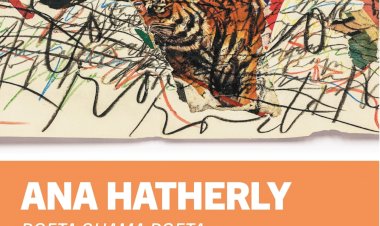 Câmara de Lamego e Serralves inauguram exposição de Ana Hatherly
