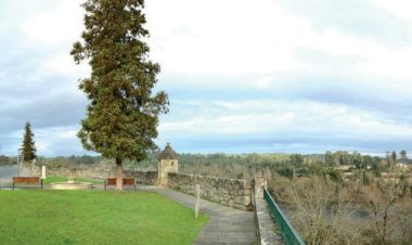 História de um Castelo e Pães, e de um Palácio e Vinhas