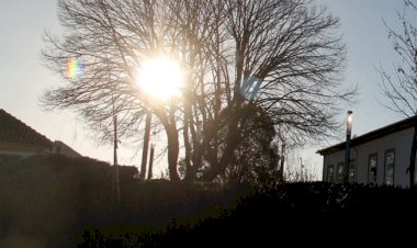 Um Castelo por Uma Terra