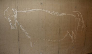 A arte do homo sapiens sapiens