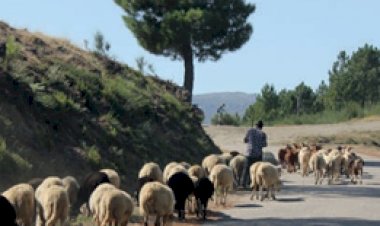 Uma tradição reinventada