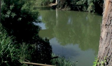 Era uma vez Odemira – Por um território educativo