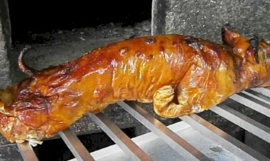 Beiras: do leitão ao cabrito, passando pelo ar­roz de cabidela