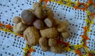 Douro e Minho: comer a “Roupa Velha”