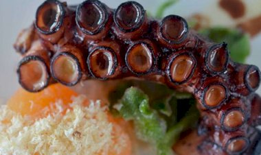 Açores: polvo, galinha e um licor