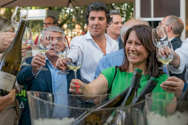 Tondela dá a provar os melhores vinhos brancos do país