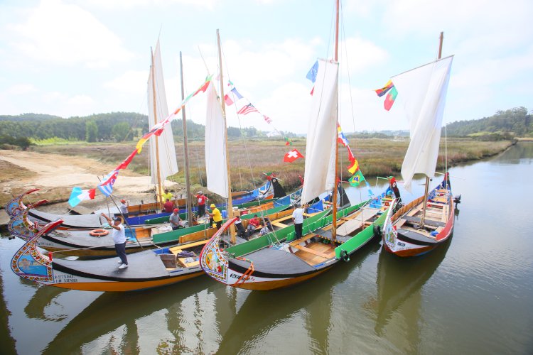 Festival do Moliceiro regressa às Folssas Novas com possibilidade de passeios de barco moliceiro