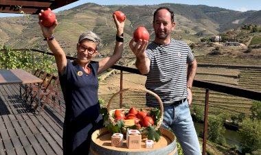 Quinta do Seixo recebe o Concurso do Tomate Coração de Boi do Douro 2023