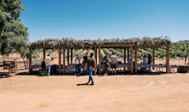 Passar “Um dia em São Miguel” é o convite da Casa relvas