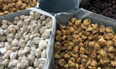 36.ª Feira Nacional dos Frutos Secos // Inscrições abertas para expositores