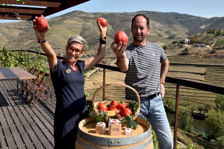 Quinta do Seixo recebe o Concurso do Tomate Coração de Boi do Douro 2023