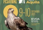 Festival celebra as águias da região
